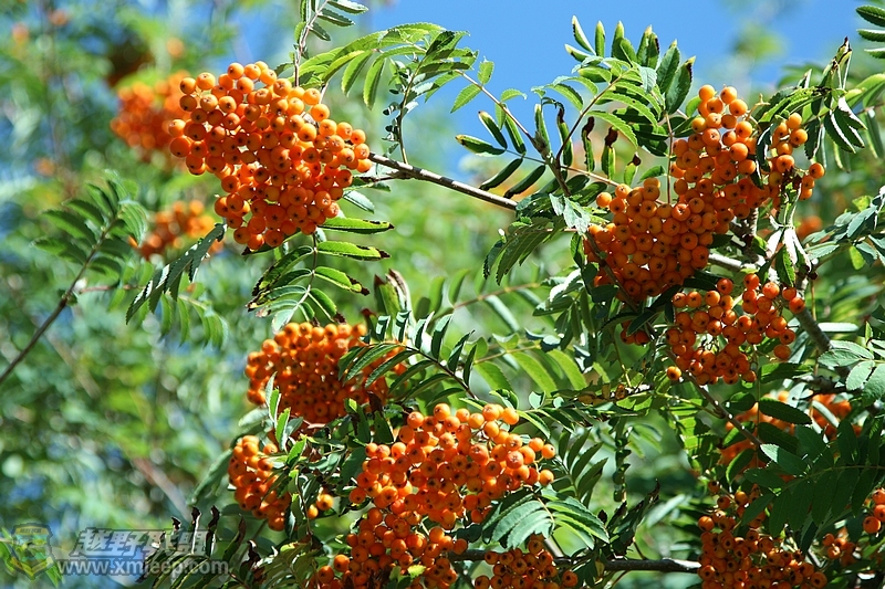 IMG_8691.jpg