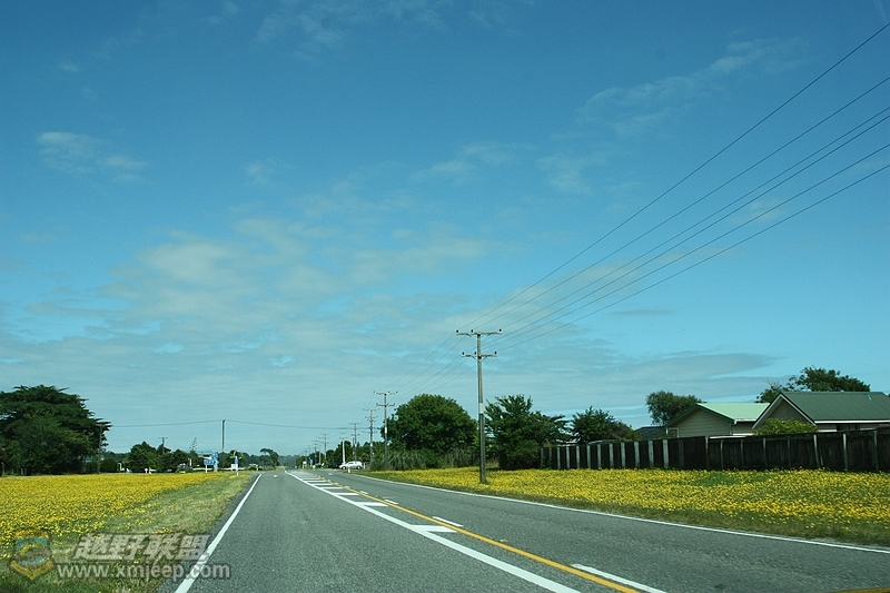 IMG_8962.jpg