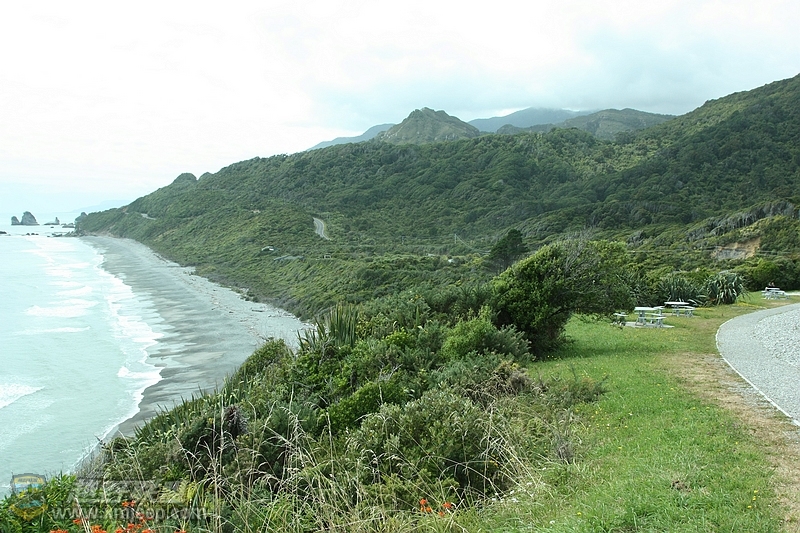 IMG_9262.jpg