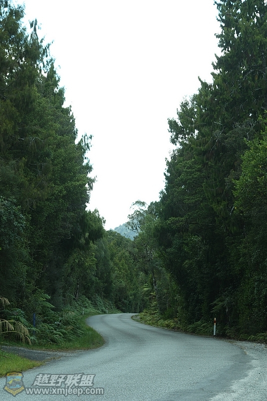 IMG_9470.jpg