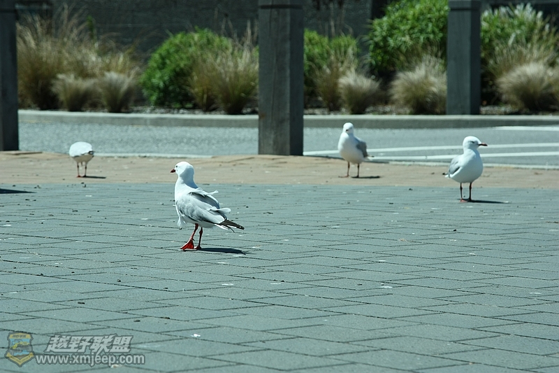 IMG_9597.jpg