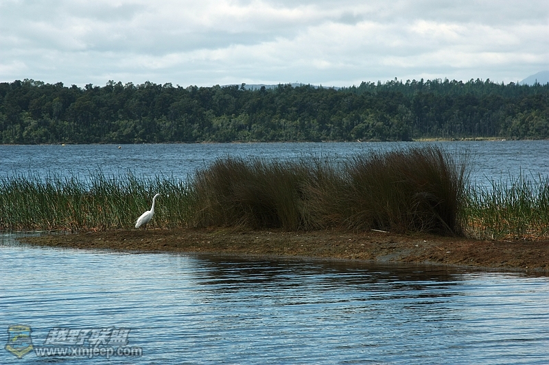 IMG_9620.jpg