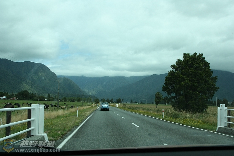 IMG_9707.jpg