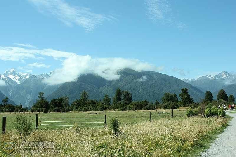 IMG_9839.jpg