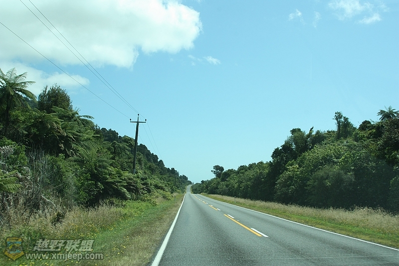 IMG_9916.jpg