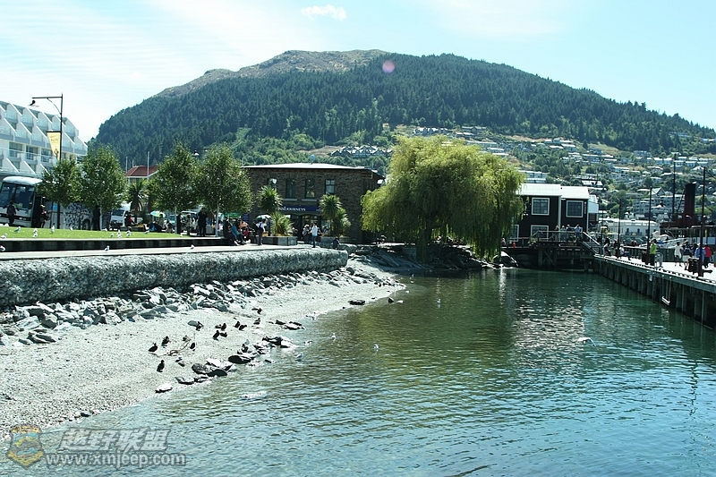 IMG_0754.jpg