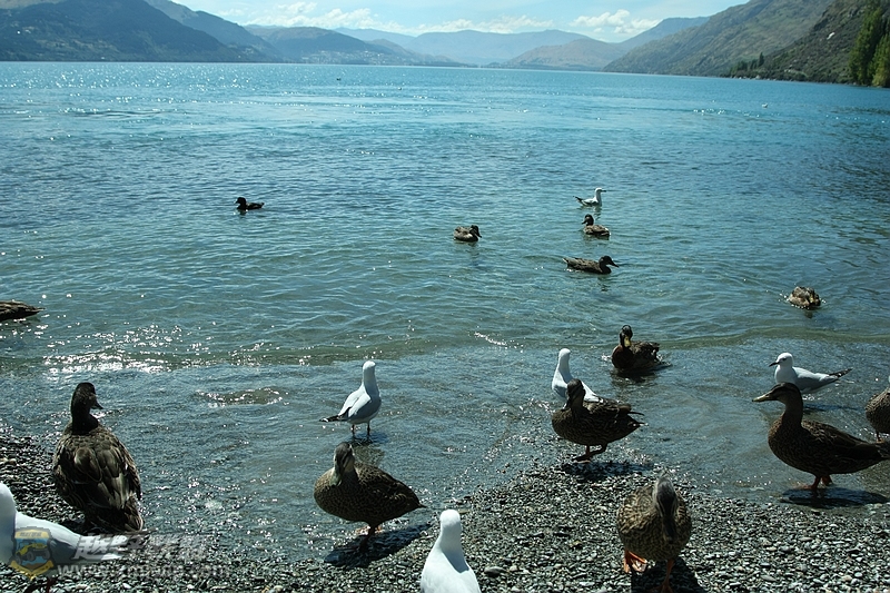 IMG_1726.jpg