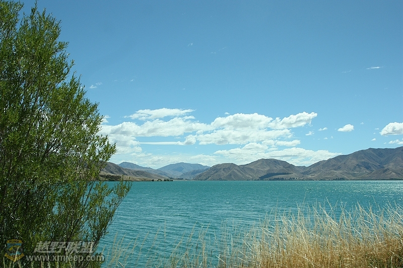 IMG_3194.jpg