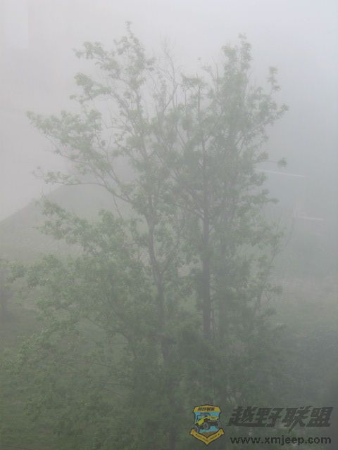 IMG_0007.jpg