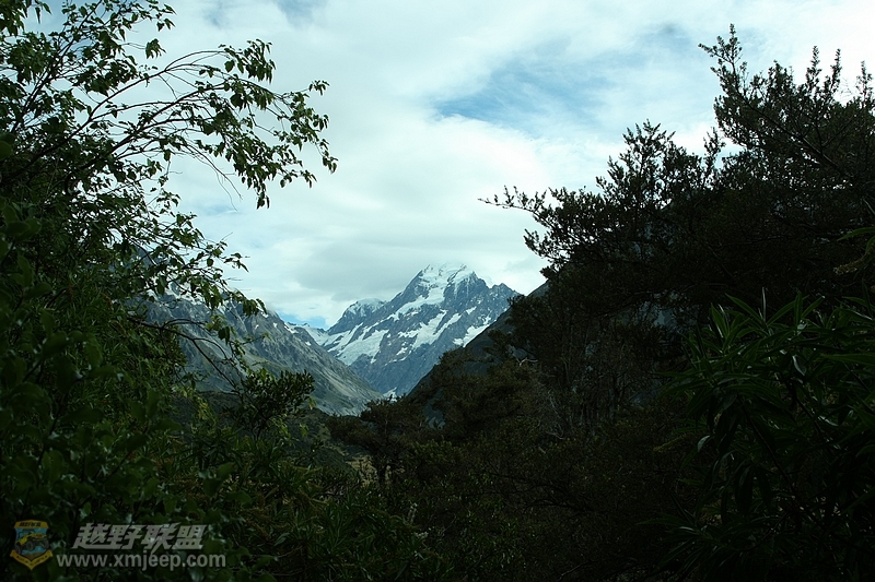 IMG_3540.jpg