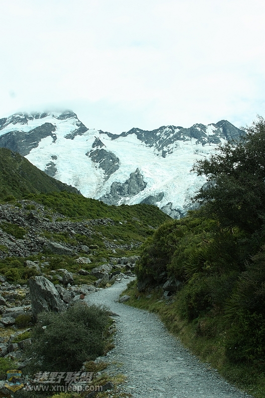IMG_3686.jpg