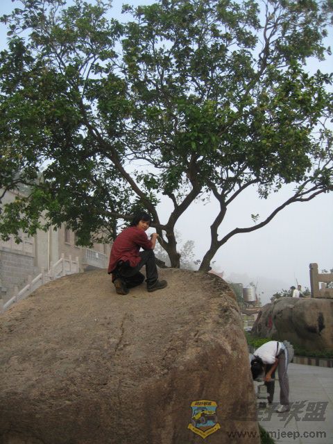 IMG_0016.jpg