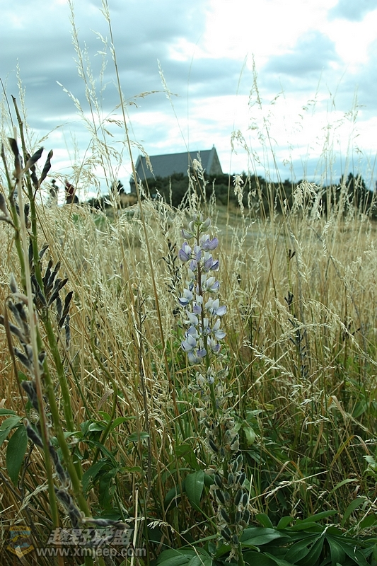 IMG_3863.jpg