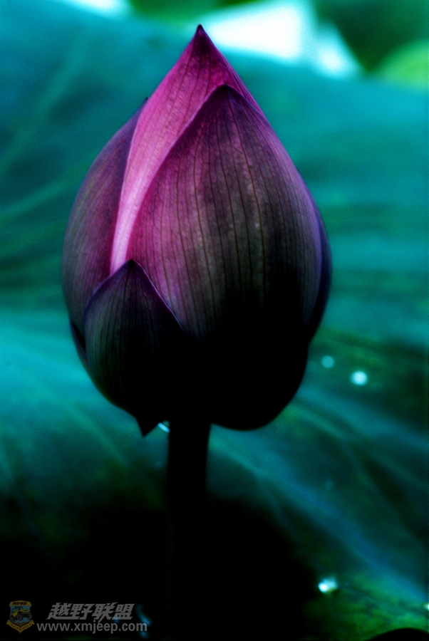 nEO_IMG_1230.jpg
