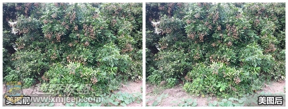 20140825_152954.jpg