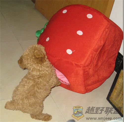 缸żȥඣ.jpg