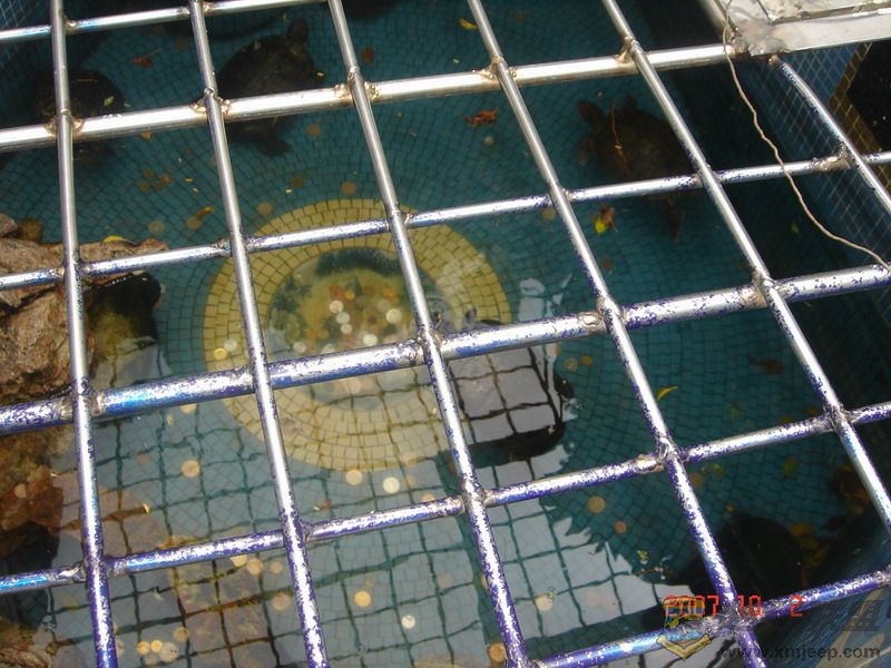 DSC09101_С.JPG