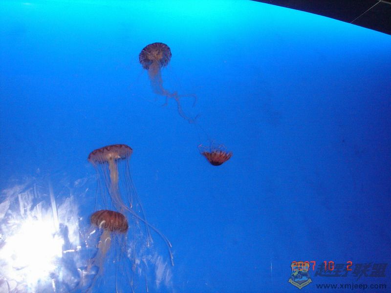 DSC09140_С.JPG
