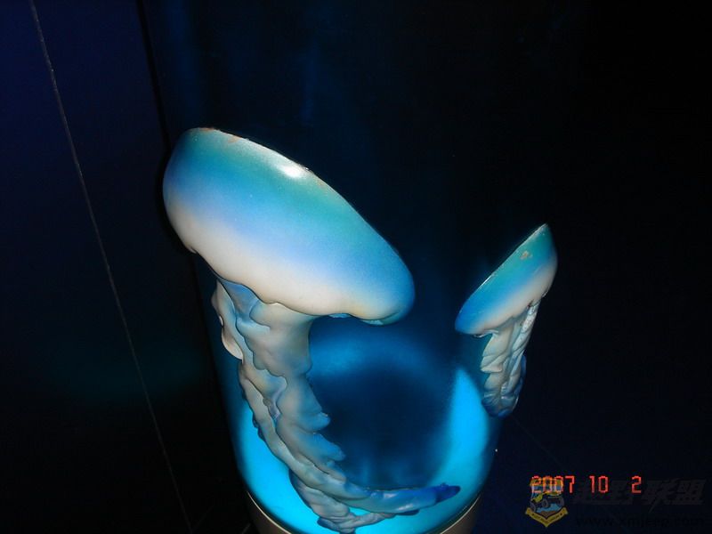 DSC09148_С.JPG