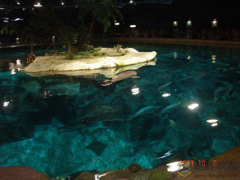 DSC09219_С.JPG