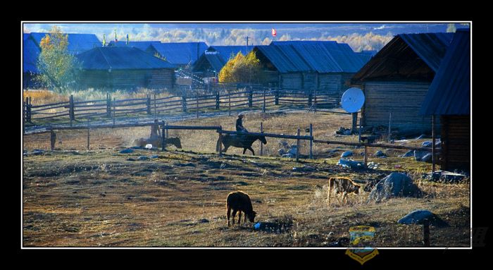 DSC_4924-W.jpg