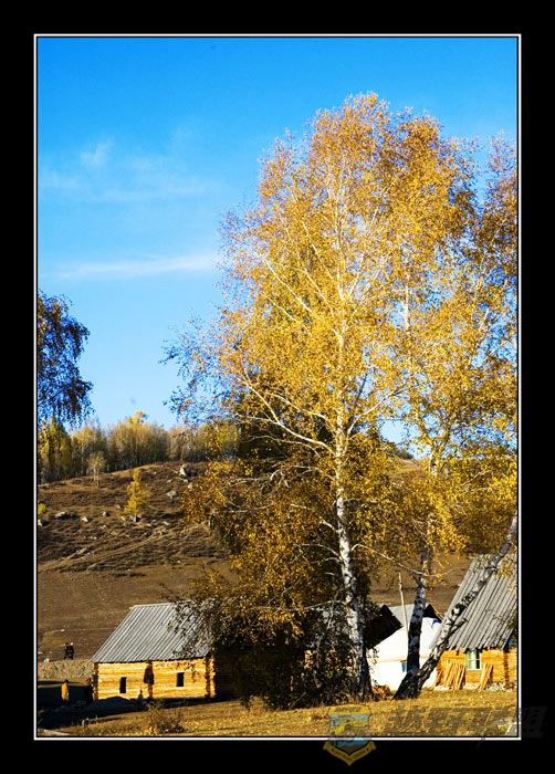 DSC_4930-W.jpg