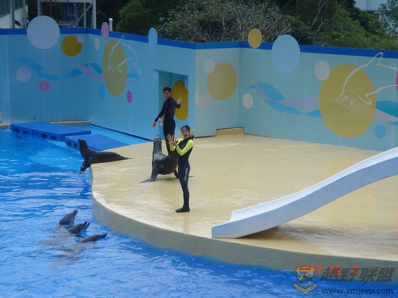 DSC09159_С.JPG