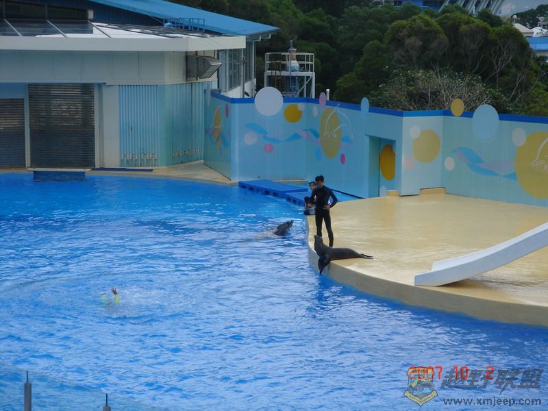 DSC09177_С.JPG