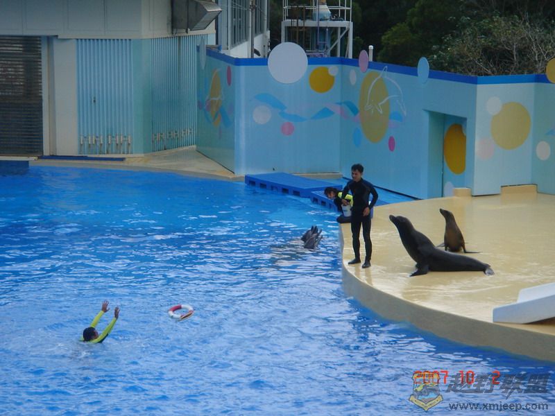 DSC09179_С.JPG