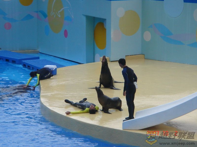DSC09182_С.JPG