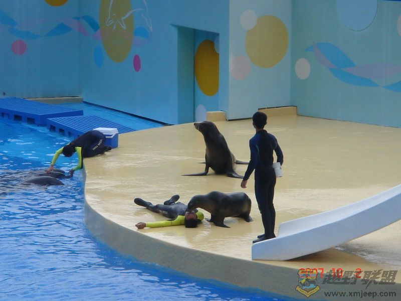 DSC09184_С.JPG