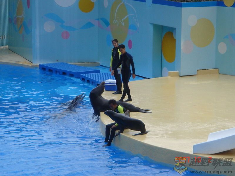 DSC09185_С.JPG