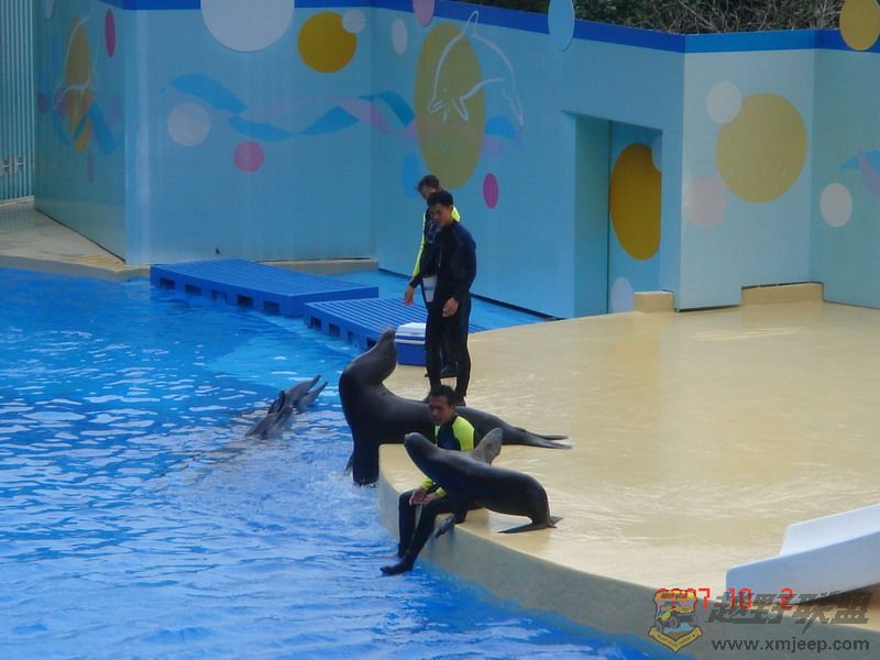 DSC09186_С.JPG