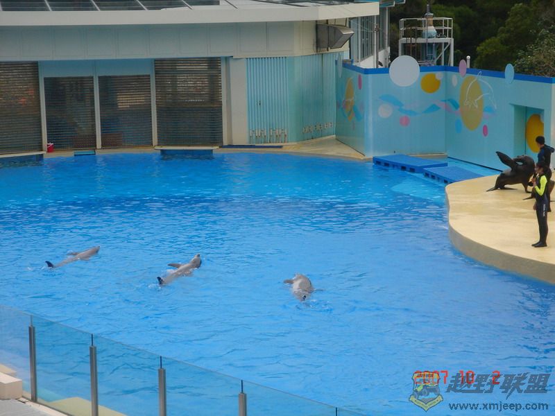 DSC09190_С.JPG
