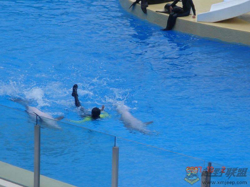 DSC09193_С.JPG