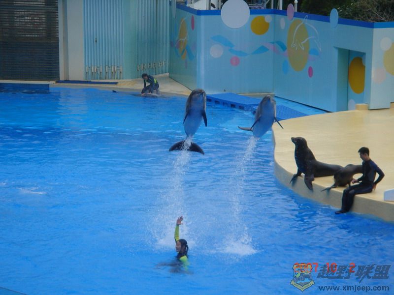 DSC09196_С.JPG