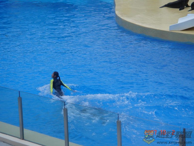 DSC09200_С.JPG
