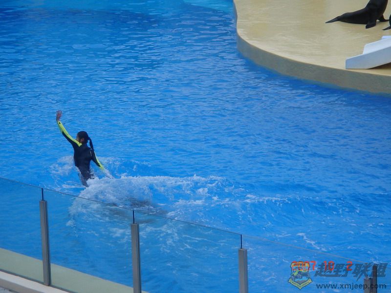 DSC09201_С.JPG