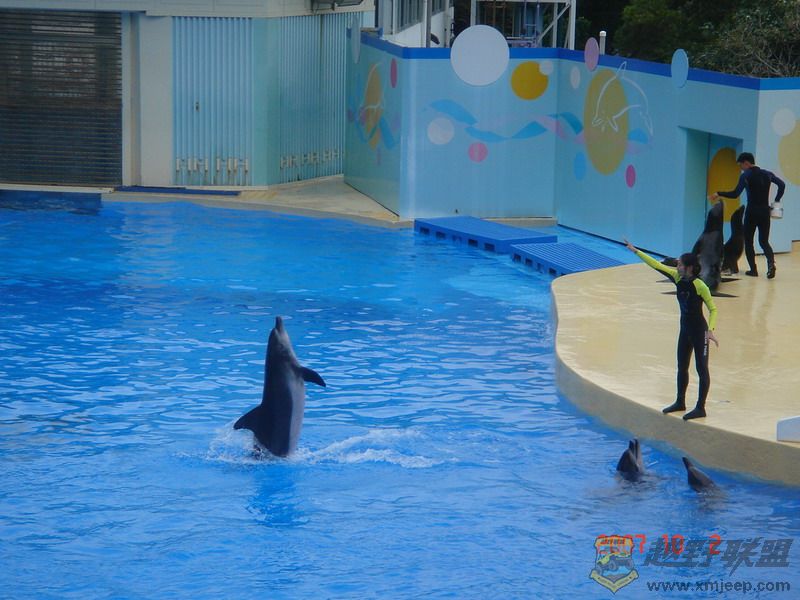 DSC09203_С.JPG