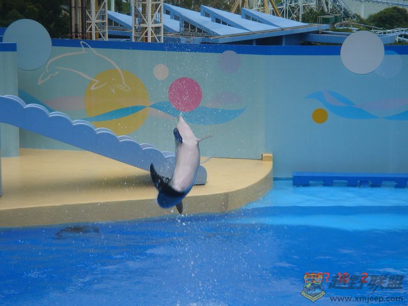 DSC09204_С.JPG