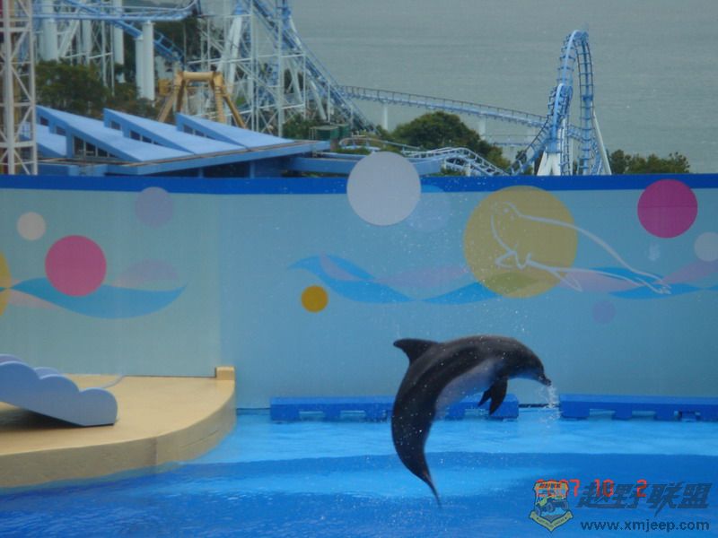 DSC09208_С.JPG