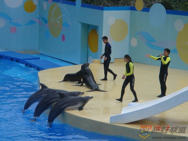 DSC09212_С.JPG