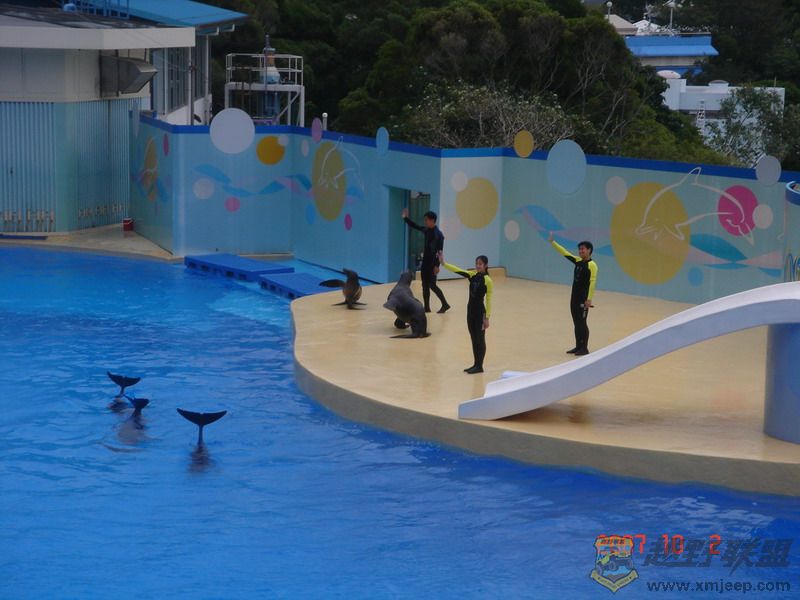 DSC09213_С.JPG