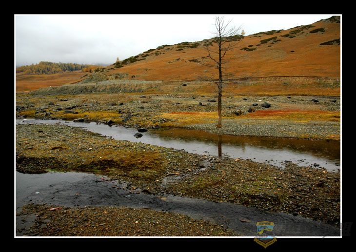 DSC_1395.jpg