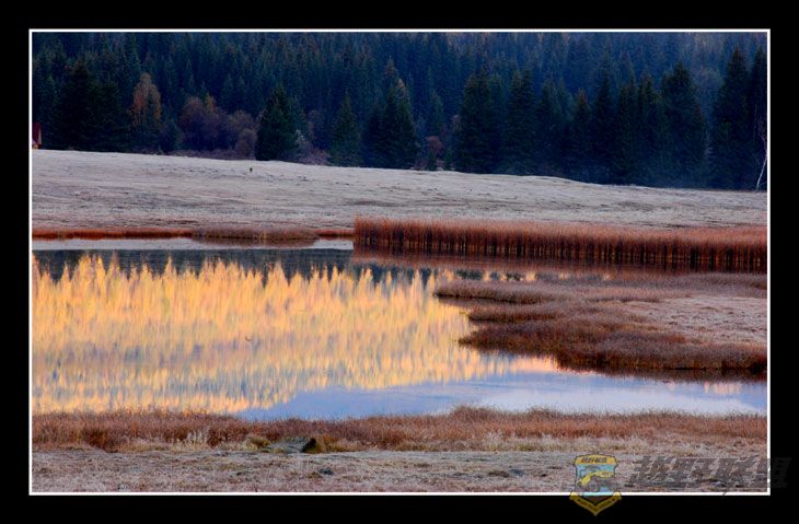DSC_1549.jpg