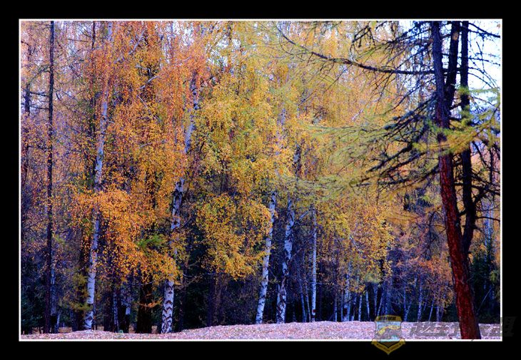 DSC_1806.jpg