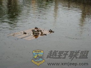 ƣȺڹ꣬ϣ.jpg