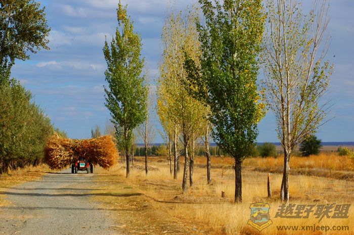 DSC_2026.jpg