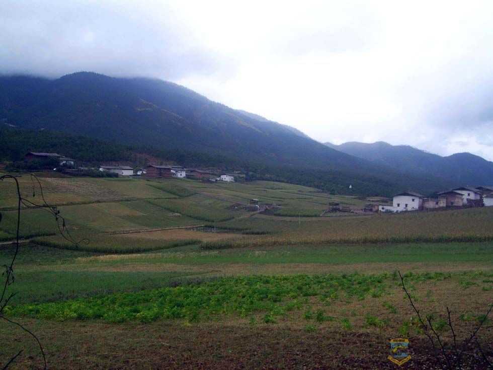 SV101837.jpg