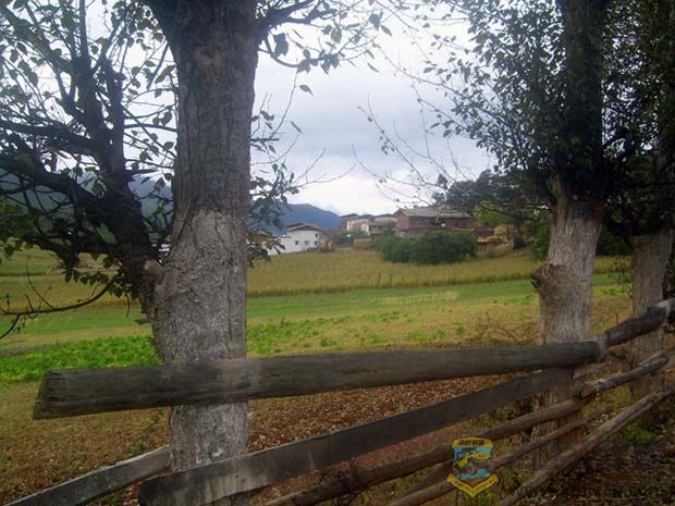 SV101838.jpg